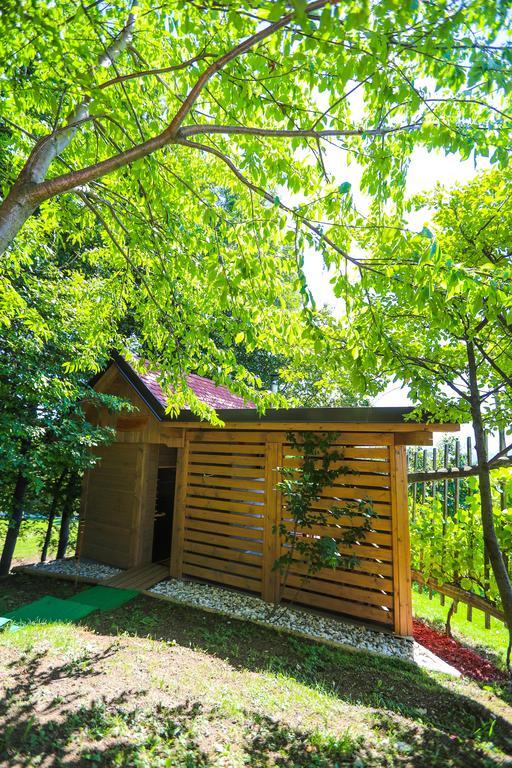 Country House Na Skaluc Pension Laško Buitenkant foto