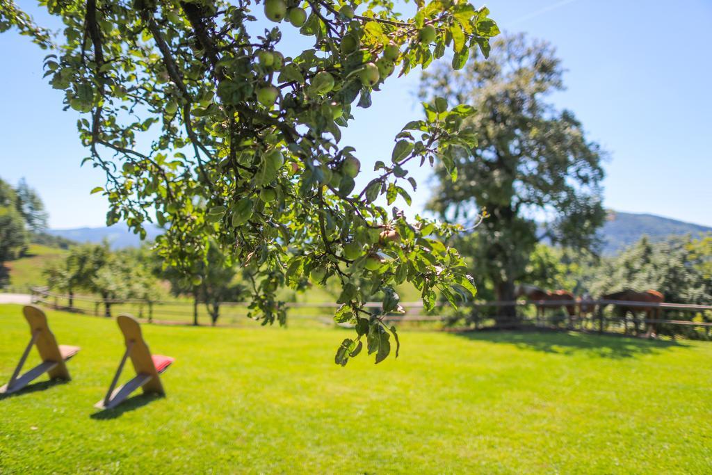 Country House Na Skaluc Pension Laško Buitenkant foto