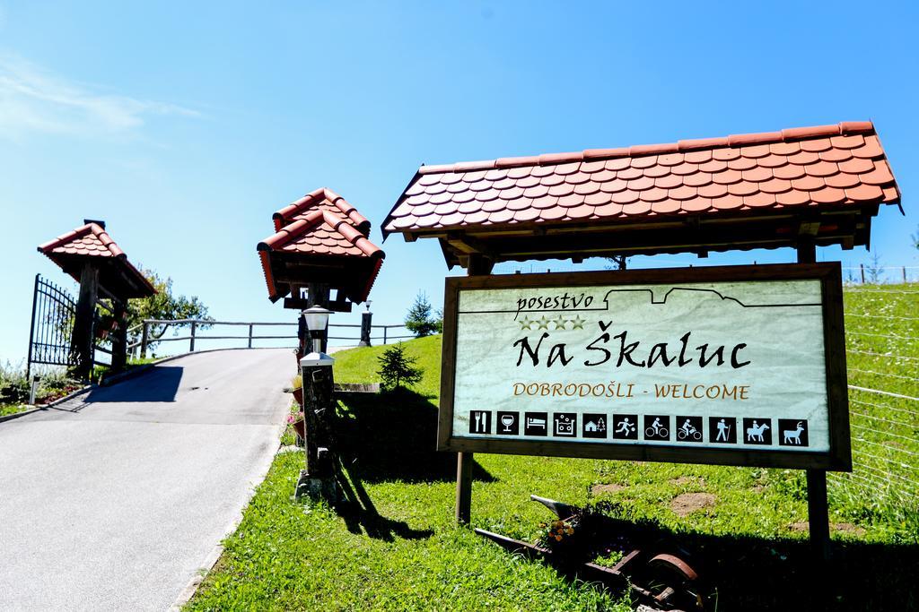 Country House Na Skaluc Pension Laško Buitenkant foto