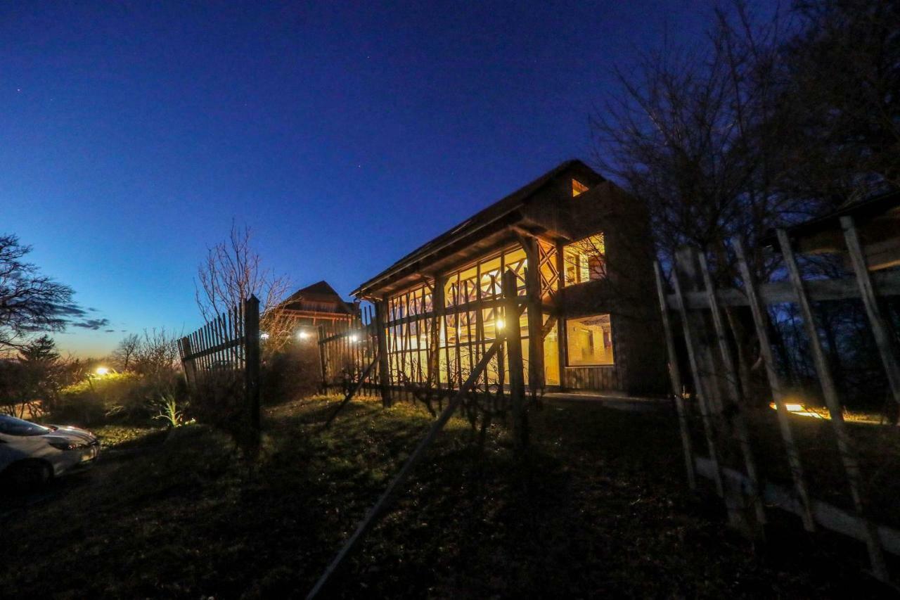 Country House Na Skaluc Pension Laško Buitenkant foto